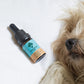 CBD OIL 3% FOR SMALL DOGS | BACON 10 ML